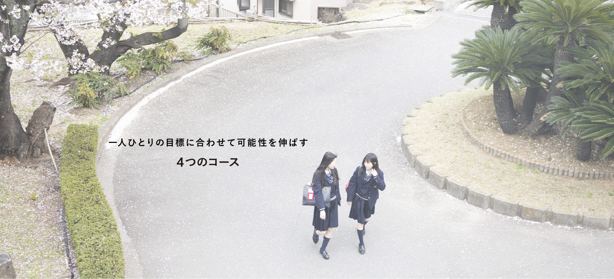 コース紹介
